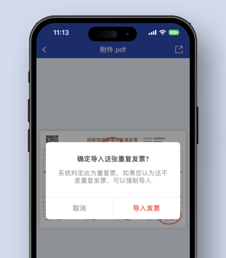 强制导入发票示意图2